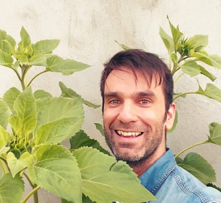ce en20metros girasoles