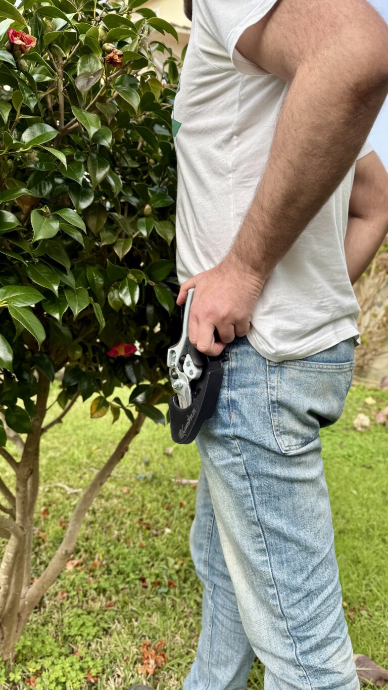 Fotografía de producto