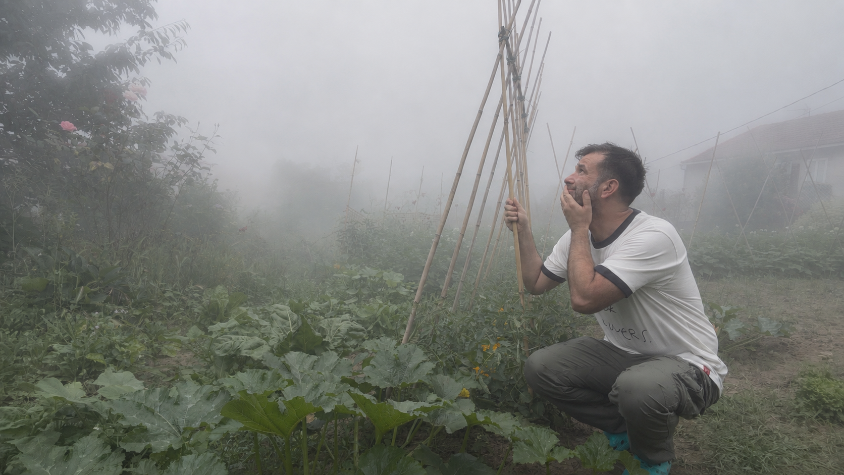 Niebla en la huerta