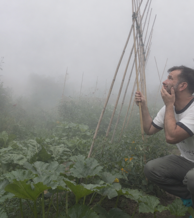 Niebla en la huerta
